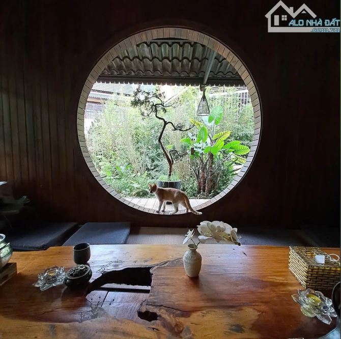 BÁN CĂN NHÀ THUẬN TIỆN ĐI LẠI NGHĨ DƯỠNG CỰC XINH TẠI PHƯỜNG 9 ĐÀ LẠT - 2