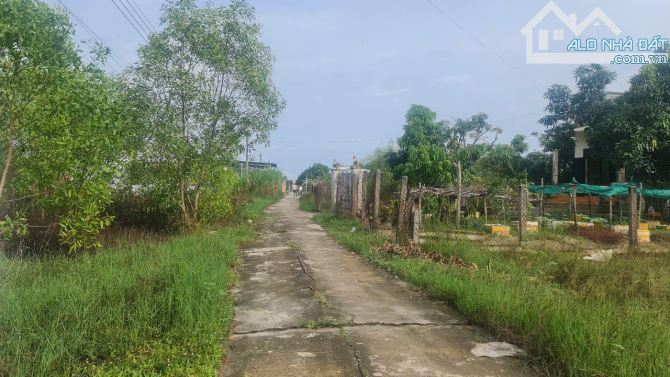 🔵10x35(351m2) Phước Linh Tân Phước LaGi Giá Rẻ - 2