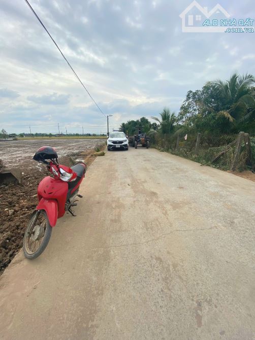 Hàng Thơm, 1000m2 đất có 431m2 đất thổ cư thị trấn Tân Trụ, 2.5 tỷ - 2