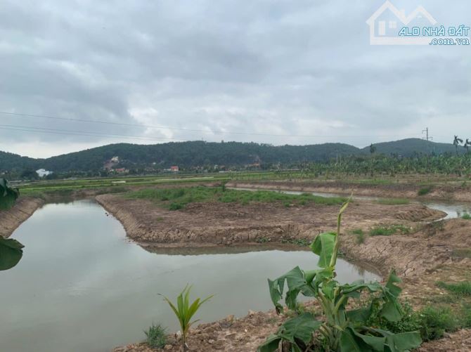 Bán đất Kênh Giang, Thủy Nguyên, Hải Phòng,  2700m2, 2,5 tỷ. - 3