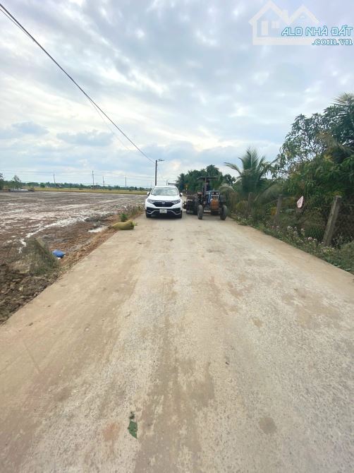 Hàng Thơm, 1000m2 đất có 431m2 đất thổ cư thị trấn Tân Trụ, 2.5 tỷ - 3
