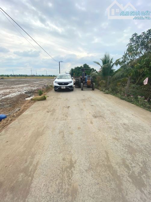 Hàng Thơm, 1000m2 đất có 431m2 đất thổ cư thị trấn Tân Trụ, 2.5 tỷ - 4