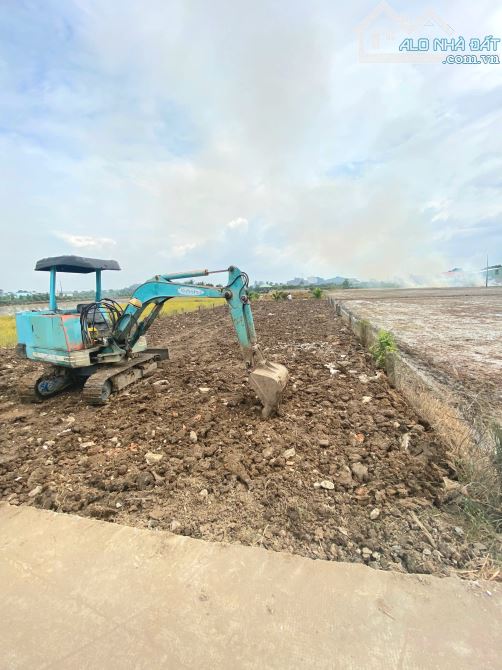 Hàng Thơm, 1000m2 đất có 431m2 đất thổ cư thị trấn Tân Trụ, 2.5 tỷ - 5