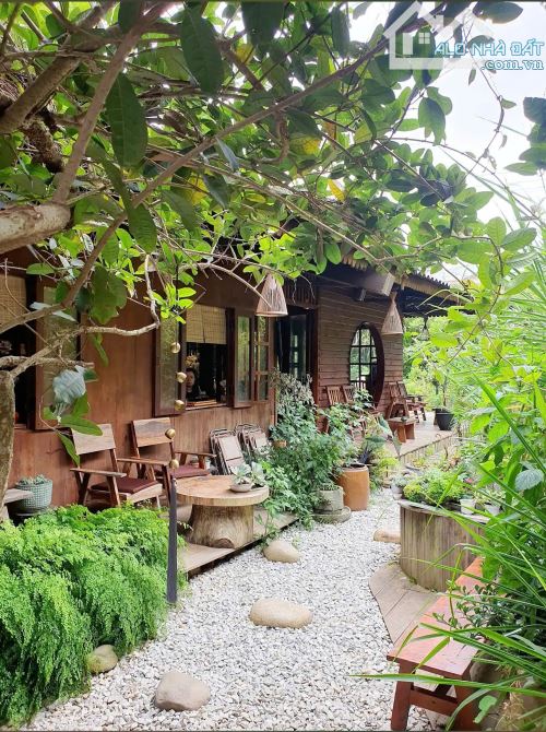 QUÁN CAFE SIÊU "THƯ GIÃN" 2 MẶT TIỀN ĐƯỜNG HỒ XUÂN HƯƠNG P9 600M2 GIÁ 45 TỶ - 6