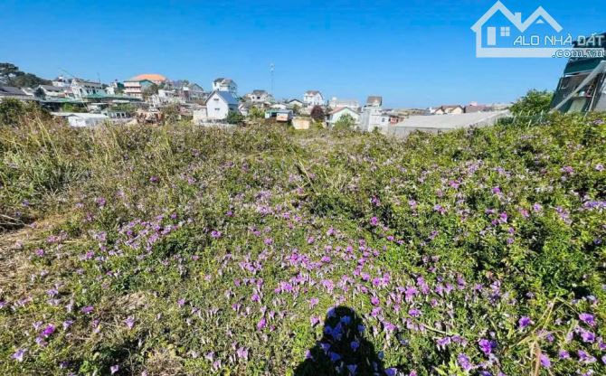 Đất Nguyễn Hữu Cảnh. P8. 1806m2. 300m2 XD. Thực Tế 3000m2. Giá 25 Tỷ