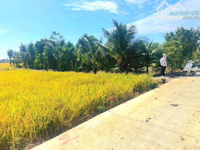 Hàng ngộp, 278m2 đất thổ cư 10x 27m, đường ô tô cực đẹp - 1