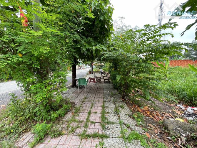 Bán đất Vườn Lài, An Phú Đông, Quận 12, DT 75 x 100m, 7.500m2 thổ cư, giá rẻ 29 triệu/m2 - 2