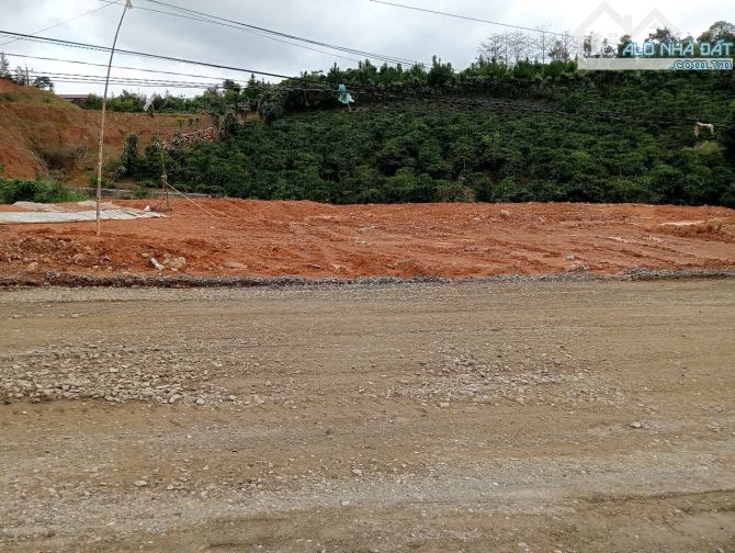 5.8 sào 200m thổ cư Bảo Lộc, đường đang đổ nhựa - 3