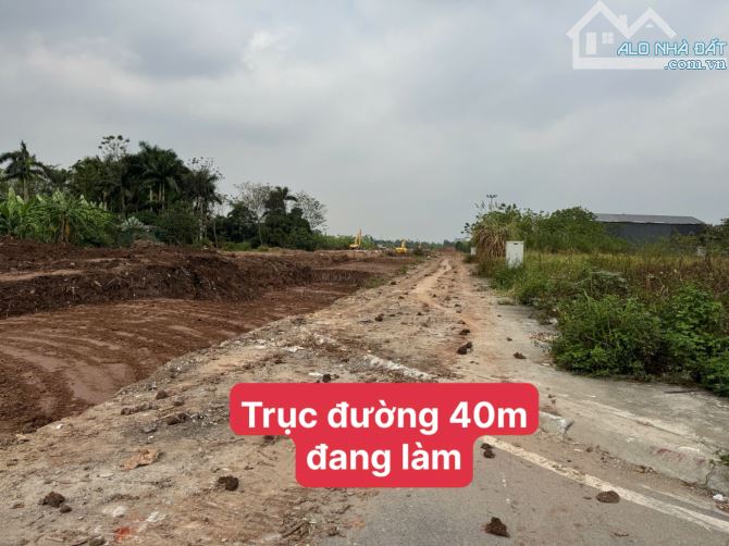 Bán lô đất 85m2 khu đấu giá tại Thanh Am, Thượng Thanh, đầu tư tốt, gần 2 trục đường 40m. - 3