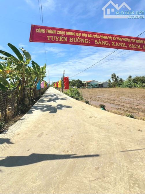 Hàng ngộp, 278m2 đất thổ cư 10x 27m, đường ô tô cực đẹp - 3