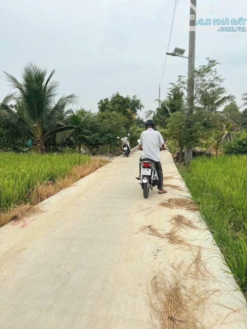 Hàng ngộp, 278m2 đất thổ cư 10x 27m, đường ô tô cực đẹp - 6