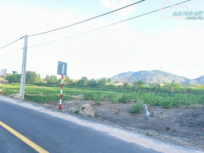 Long mỹ, 1473m2, ngang 16m đường nhựa nở hậu 21m, phủ hồng đất ở, khu dân cư giá ngộp 2ty7