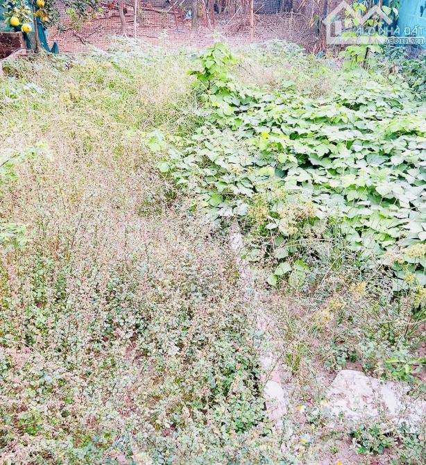 CHỈ 33TRIỆU/M SỞ HỮU LÔ ĐẤT ĐẸP BẮC HỒNG