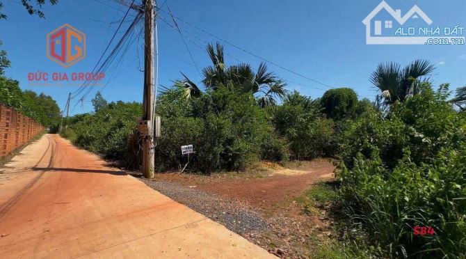 5 lô đất liền kề 1576m2 sổ hồng riêng từng lô, thị trấn Vĩnh An, huyện Vĩnh Cửu, Đồng Nai - 1