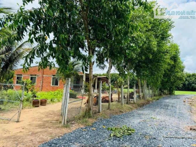 Bán gấp trong tuần lô đất ở Tân biên giá 115tr - 1