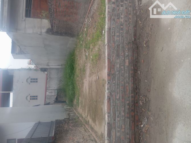 CẦN Tiền Bác Hồng Bán Nhanh Cắt lỗ sâu để lấy Tiền KD Dịp Tết ở TT Đông Anh Hà Nội - 1