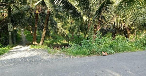 LÔ ĐẤT GÓC - VI TRÍ ĐẮC ĐỊA. Rộng 275m2 MẶT TIỀN 90E Mỹ Lương, Mỹ Phong. . - 2
