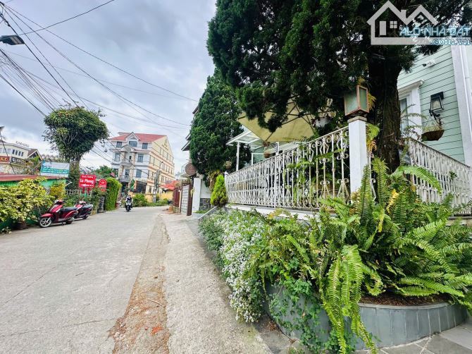 ĐẤT SIÊU HIẾM - Khu Biệt Thự Cô Giang phường 9 đà lạt 547m2 - 2