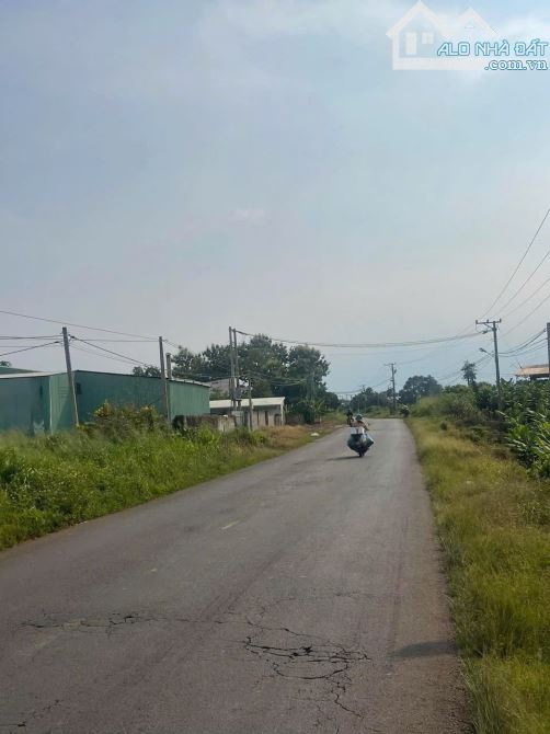 Cần bán gấp đất mặt tiền đường Nguyễn Hoàng xã Thanh Bình Trảng Bom - 2