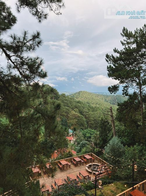 Bán đất đường Trần Quang Diệu view thông vô vĩnh viển thành phố Đà Lạt - 2
