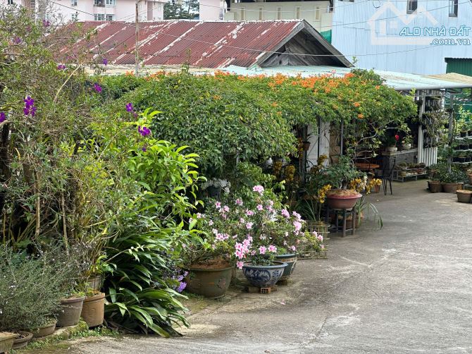 ĐẤT SIÊU HIẾM - Khu Biệt Thự Cô Giang phường 9 đà lạt 547m2 - 3