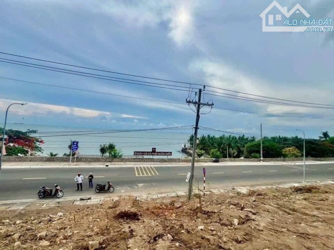 BÁN ĐẤT VIEW BIỂN VŨNG TÀU HƠN 4.6 SÀO LƯNG TỰA NÚI - 3