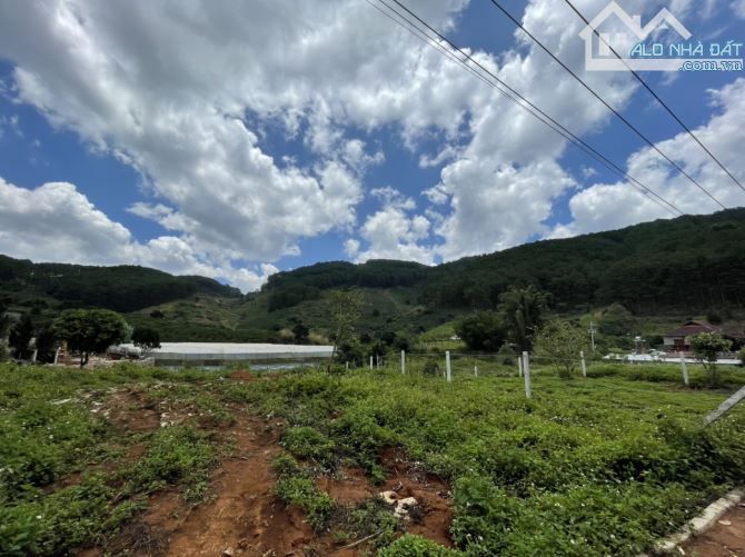 Bán đất nghỉ dưỡng 2100m2 khu vực Tà Nung thành phố Đà Lạt - 3