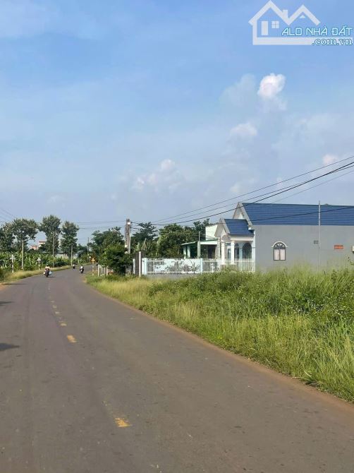 Cần bán gấp đất mặt tiền đường Nguyễn Hoàng xã Thanh Bình Trảng Bom - 3