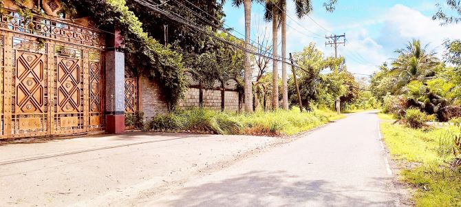 Bán đất cạnh mặt Tiền Cầu Đình SHR 95M² Long Phước Quận 9 giá rẻ - 3