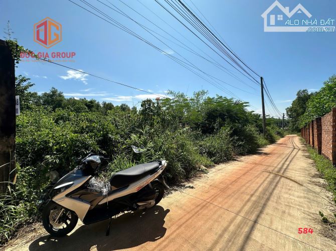 5 lô đất liền kề 1576m2 sổ hồng riêng từng lô, thị trấn Vĩnh An, huyện Vĩnh Cửu, Đồng Nai - 5