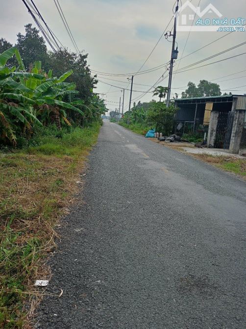 Đất Mt đường Đinh Thiếu Sơn, P7 TP Tân An Long An - 1