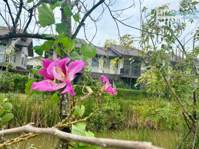 MỞ BÁN BIỆT THỰ WATERPOINT CĐT NAM LONG, GẦN KÊNH ĐÀO, THANH TOÁN TRẢ GÓP 24 THÁNG - 12