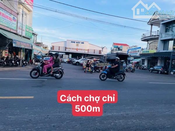 ĐẤT THỊ TRẤN ĐẤT ĐỎ GẦN CHỢ 548M MẶT TIỀN 12M SẴN VƯỜI TRÁI CÂY RÀO KIÊN CỐ - 2