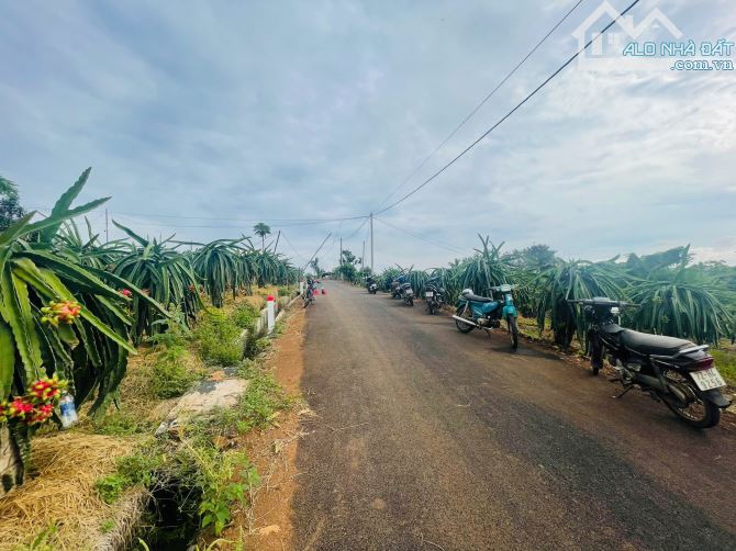BÁN VƯỜN THANH LONG 4.500M2, CÁCH ĐƯỜNG XUÂN SƠN-ĐÁ BẠC CHỈ 1.5KM, GIÁ CHỈ 580TR/1000M2 - 11