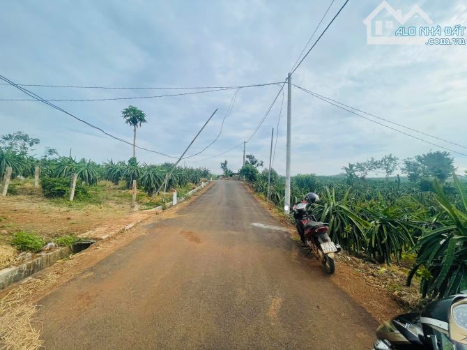 BÁN VƯỜN THANH LONG 4.500M2, CÁCH ĐƯỜNG XUÂN SƠN-ĐÁ BẠC CHỈ 1.5KM, GIÁ CHỈ 580TR/1000M2 - 13