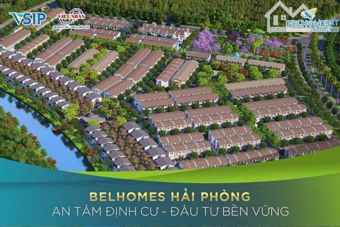 🌟 Cơ hội vàng sở hữu biệt thự đơn lập Bellhome diện tích 205m² 🌟