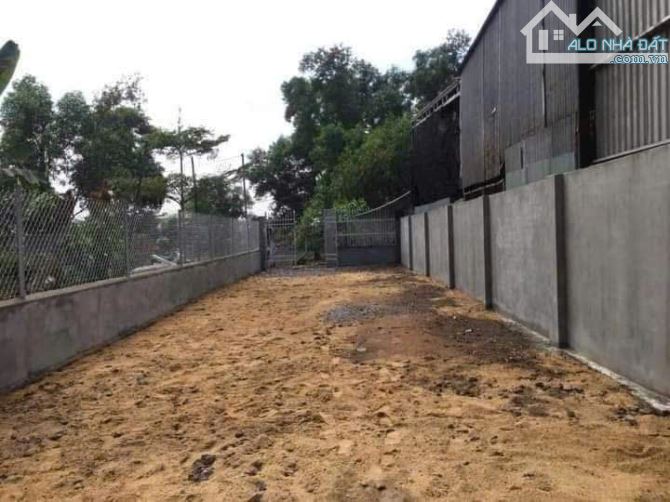 Bán đất tái định cư phú sơn bắc sơn trảng bom 6x30 180m2 sổ riêng qh ONT - 2