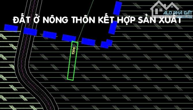 bán đất tân phú trung củ chi dt 5x32m full thổ cư - 4