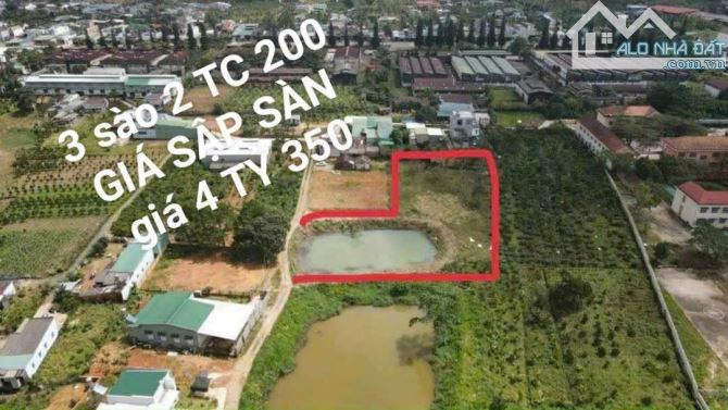 3.2 sào sẵn 200m thổ cư Đại Lào Bảo Lộc - 5