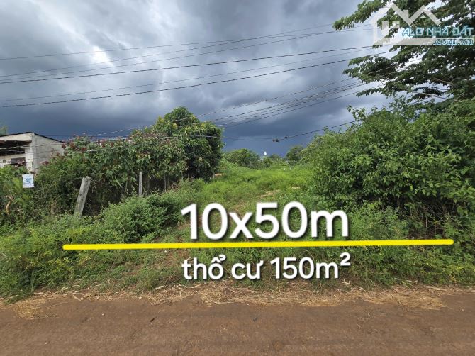 LÔ THỔ CƯ 10x50m EA NUÔL - BUÔN ĐÔN - ĐAKLAK 890Tr🍓