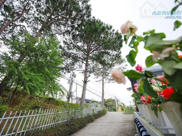 Bán Homestay Đang Kinh Doanh ,Phường 3 , Đà Lạt