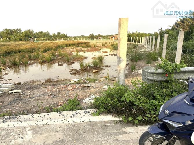 Cần bán 1138m2 đất trồng cây lâu năm mặt tiền đường Rạch Già, Hiệp Phước, Nhà Bè, TP HCM - 2