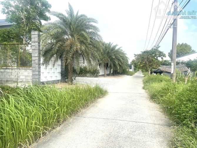 Cần bán 1138m2 đất trồng cây lâu năm mặt tiền đường Rạch Già, Hiệp Phước, Nhà Bè, TP HCM - 4