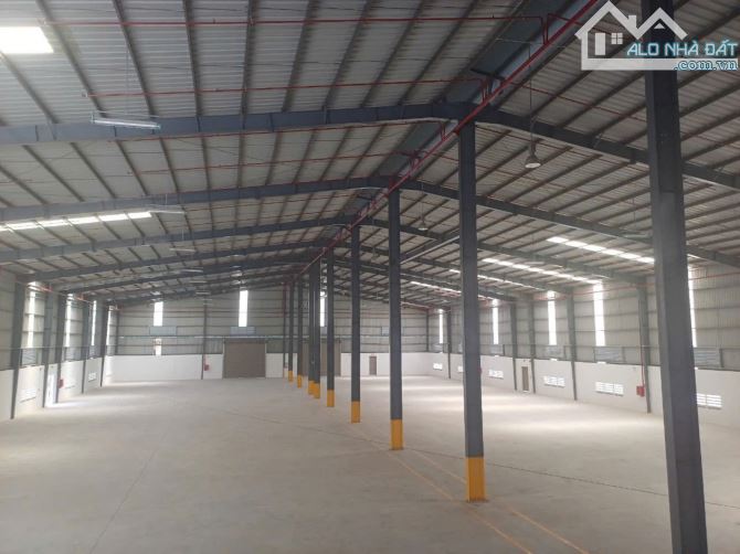 Cho thuê kho xưởng KCN Tân Thạnh Đông, Củ Chi, KV: 6000m2, X: 3600m2 - 1