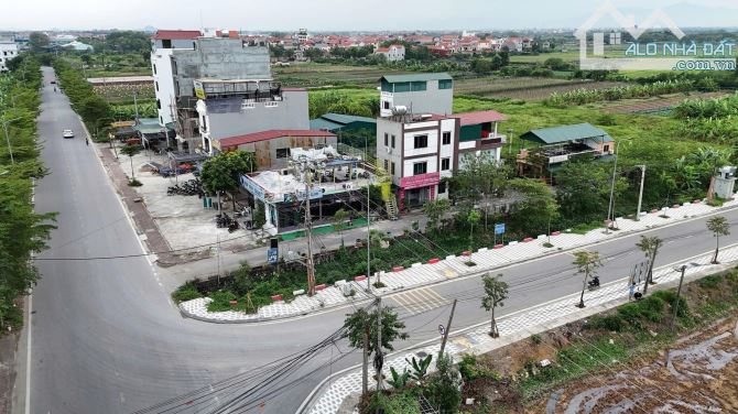 Bán đất phân lô Tế Tự tại Phương Đình, Đan Phượng, Hà Nội, 75 triệu / m2, 75 m2 - 1