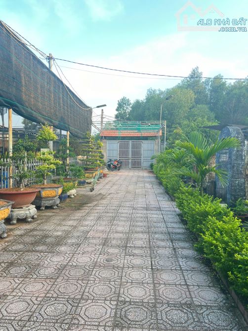 bán 4000m2 đất ngay kdc lavender, 100m mặt đường 8m xã tân bình. - 1