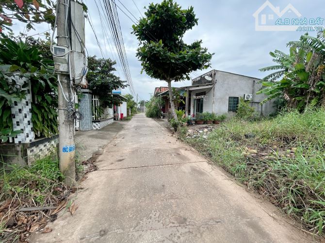 ✅ Bán đất thổ hẽm Châu Thị Kim thuộc An Vĩnh Ngãi , TP Tân An_  Diện Tích : 4.6 x 26m2 - 1