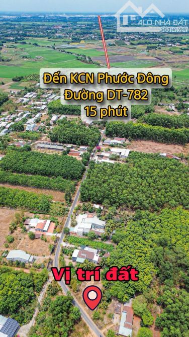 ✨ Ngang 5M nở hậu 10M, Mặt tiền Nhựa (QH: 30M), lọt lòng KDC, ngay Thị trấn Gò Dầu - 750Tr - 14