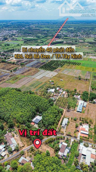 ✨ Ngang 5M nở hậu 10M, Mặt tiền Nhựa (QH: 30M), lọt lòng KDC, ngay Thị trấn Gò Dầu - 750Tr - 16