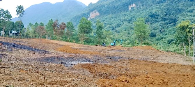 8645m Đất Cây Lâu Năm Quy Hoạch Thổ Cư - Đường Bám Quanh Đất - 2